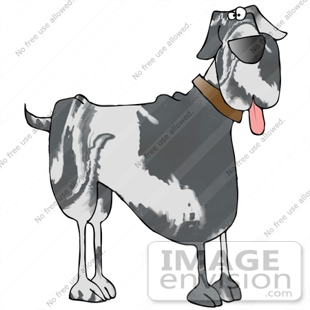 #29731 Clip Art Graphic of a Happy Marble Patterned Great Dane Dog Hanging His Tongue Out by DJArt