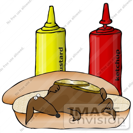 #29923 Clip Art Graphic of a Goofy Dachshund Dog Lying Under Pickles On A Hot Dog Bun Near Ketchup And Mustard Containers by DJArt