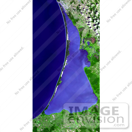 #30661 Stock Photo of the Curonian Spit Around The Curonian Lagoon Along the Baltic Sea in Lithuania and Russia, July 25th 2006 by JVPD