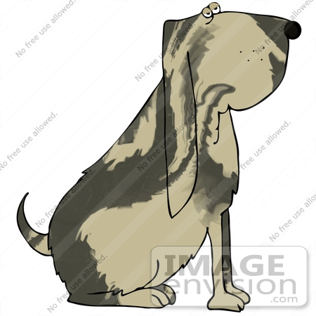 #30674 Clipart Illustration of a Marble Coated Bloodhound Doggy Sitting Up by DJArt