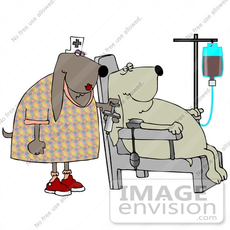 #30800 Clip Art Graphic of a Female Nurse Dog Holding A Needle And Preparing To Give A Dog Patient With An Iv A Shot At The Hospital by DJArt