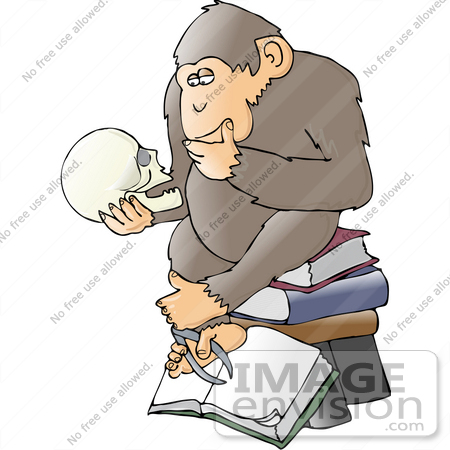 #30961 Clip Art Graphic of a Cartoon Parody of Rheinhold’s "Philosophizing Monkey" Showing a Smart Chimpanzee Seated On A Stack Of Books And Gazing At A Human Skull by DJArt