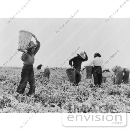#3108 Pea Pickers by JVPD