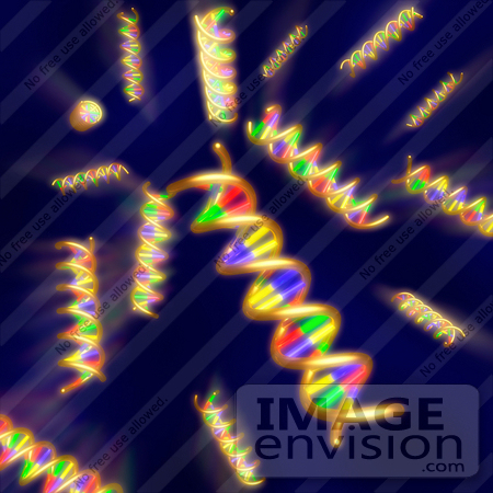 #31409 DNA Molecules by Oleksiy Maksymenko
