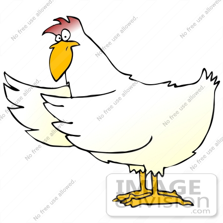 #32085 Clip Art Graphic of a White Rooster Directing Attention To The Left by DJArt