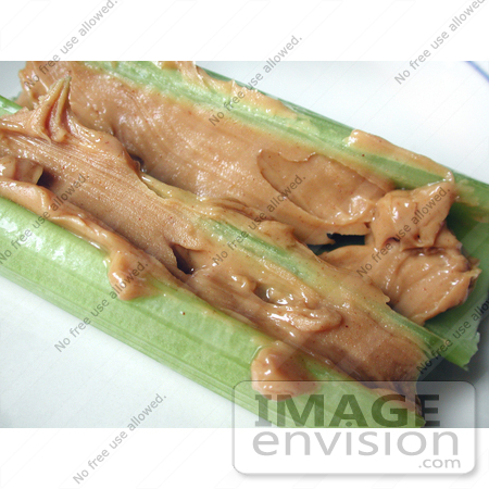 #328 Photo of Peanut Butter on Celery Sticks by Jamie Voetsch