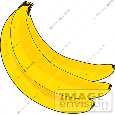 #33424 Clipart of Three Bright Yellow Ripe Bananas In A Bunch by Maria Bell