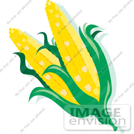 #33442 Clipart of Double Eared Corn on the Cob by Maria Bell