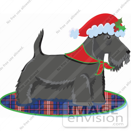 #33509 Christmas Clipart Of A Festive Scottish Terrier Dog Wearing A Santa Hat With Holly by Maria Bell