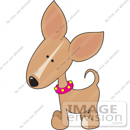 #33526 Clip Art Graphic of a Curious Fawn Colored Chihuahua Puppy Dog Wearing A Pink Collar, Tilting Its Head To The Side by Maria Bell