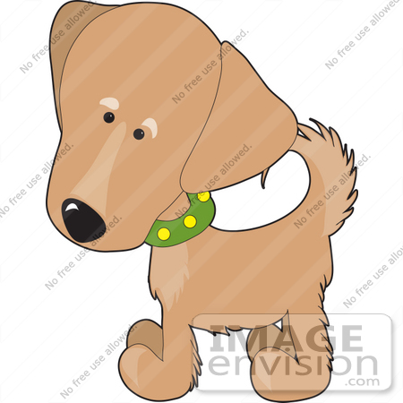 #33529 Clip Art Graphic of an Adorable Golden Retriever Puppy Dog Wearing A Green Collar And Wagging His Tail by Maria Bell