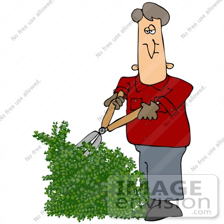 #33896 Clip Art Graphic of a Caucasian Man In A Red Jacket, Trimming An Overgrown Hedge In His Yard by DJArt