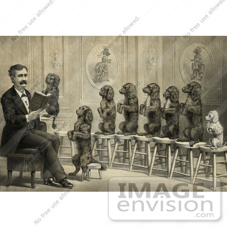 #33976 Stock Illustration Of A Man Surrounded By Dogs Sitting Up And Begging On Stools, One Dog In His Hand As He Reads Them A Book by JVPD