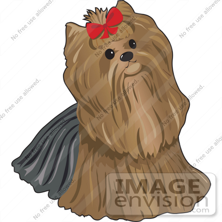 #34135 Clip Art Graphic of a Pampered Pooch, A Yorkie Terrier Dog, Wearing A Red Bow by Maria Bell