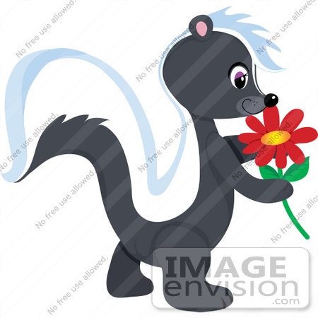 #34137 Clip Art Graphic of a Skunk Smelling A Red Flower While Walking by Maria Bell