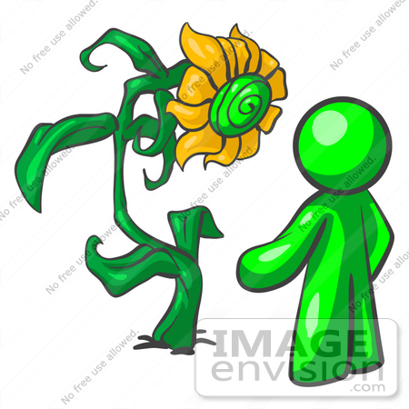 #34187 Clip Art Graphic of a Green Guy Character Standing In Front Of His Giant Sunflower In A Garden by Jester Arts