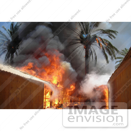 #35232 Stock Photo of Fire Consuming Trees And Buildings Of A Marine Compound At The Entrance Of Fallujah, Iraq, June 25th 2008 by JVPD