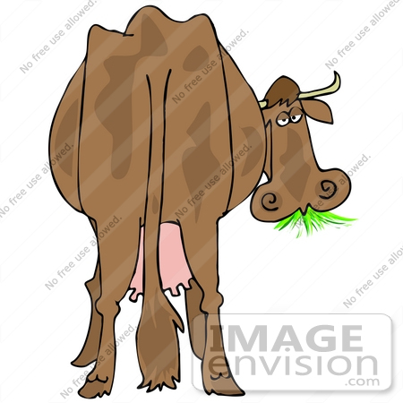 #35617 Clip Art Graphic of a Tired Old Brown Dairy Cow From Behind, Munching On Green Grass by DJArt