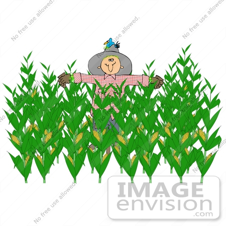 #35618 Clip Art Graphic of a Scarecrow With A Bird Nesting In His Hat, In The Center Of A Corn Crop by DJArt