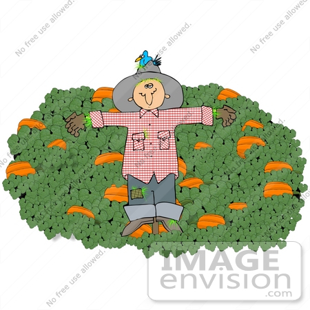#35620 Clip Art Graphic of a Scarecrow With A Bird Nesting In His Hat, On A Post In A Pumpkin Crop by DJArt