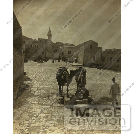 #3566 Bethlehem Street Scene With Camel by JVPD