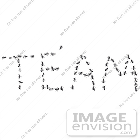#35742 Clip Art Graphic of Black Sugar Ants Forming The Word Team, Symbolizing Teamwork by Jester Arts