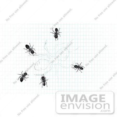 #35745 Clip Art Graphic of Black Sugar Ants On A Drawing Of An Ant On Graph Paper by Jester Arts