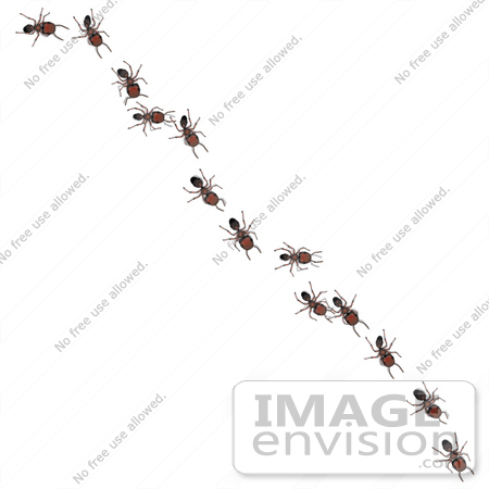 #35747 Clip Art Graphic of Brown Sugar Ants Invading A Kitchen, Crawling In A Line Across A Counter by Jester Arts