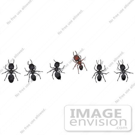 #35753 Clip Art Graphic of Five Black And One Brown Sugar Ants In A Horizontal Row by Jester Arts