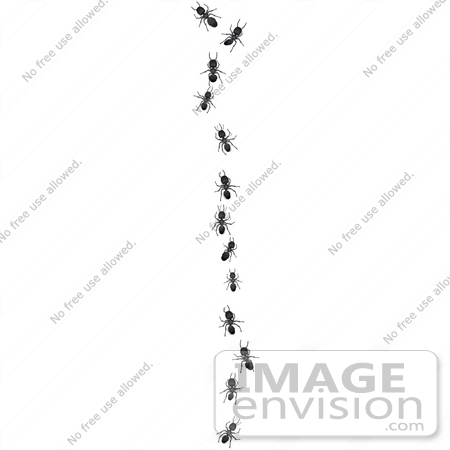 #35754 Clip Art Graphic of a Line Of Sugar Ants Raiding A Picnic Or Kitchen, In A Vertical Row by Jester Arts