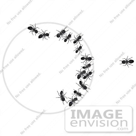 #35757 Clip Art Graphic of Trapped Black Sugar Ants In A Bait Trap, Looking Out At A Smart And Safe Ant by Jester Arts