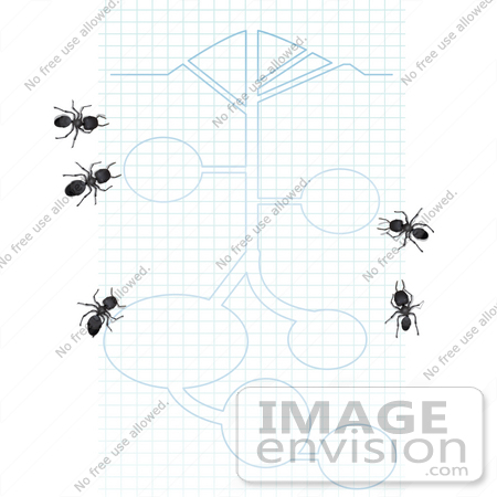 #35763 Clip Art Graphic of Five Black Sugar Ants Looking At Blueprints by Jester Arts