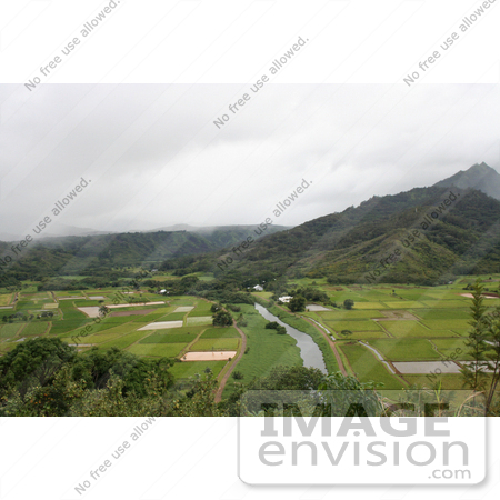#36520 Stock Photo of a Scenic View Of Green Hanalei Valley With The Hanalei River Flowing Through It, Northern Kauai, Hawaii by Jamie Voetsch