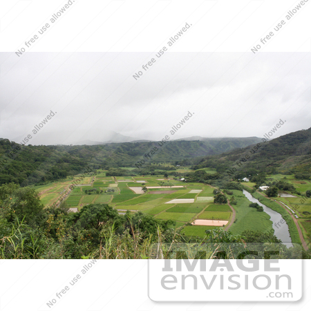 #36521 Stock Photo of a Scenic View Of Hanalei River Flowing Through Hanalei Valley In Northern Kauai, Hawaii by Jamie Voetsch