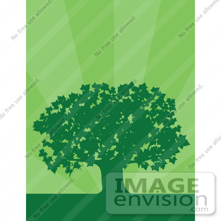 #36737 Clip Art Graphic of a Silhouetted Adult Maple Tree Over a Background of Green Bursts by Maria Bell