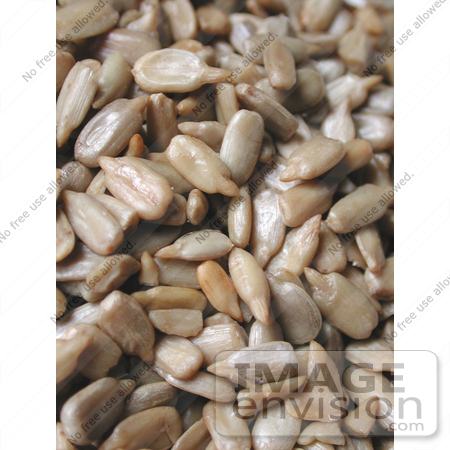 #407 Photo of Sunflower Seeds by Jamie Voetsch