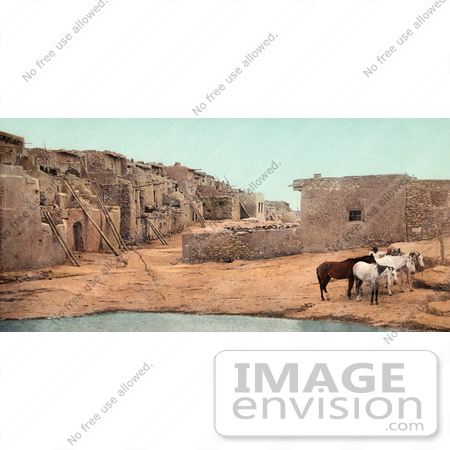 #40728 Stock Photo Of Brown And White Horses Near A Pool Of Water At Acoma Pueblo, New Mexico by JVPD
