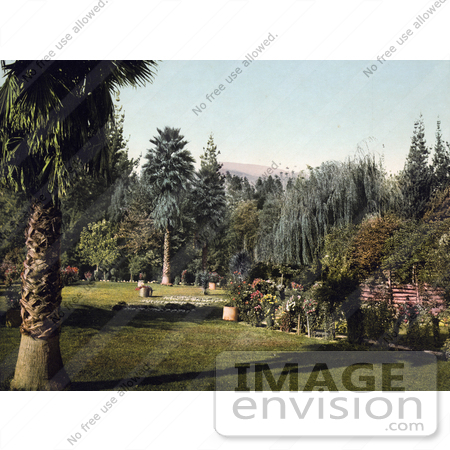 #40779 Stock Photo of a Lush Garden With Exotic Plants At Lucky Baldwin’s Ranch In Pasadena, California by JVPD