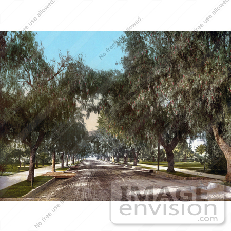 #40809 Stock Photo of Trees And Sidewalks Along A Dirt Road, Marengo Avenue In Pasadena, California by JVPD