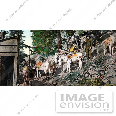 #40901 Stock Photo of Men And Burros At Silver Mine In Colorado by JVPD