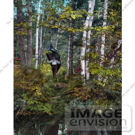 #40939 Stock Photo Of Man Carrying A Canoe To The Water At The Edge Of The Woods In The Adirondack Mountains, New York by JVPD