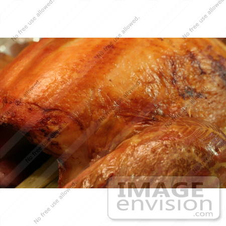 #410 Picture of a Roasted Thanksgiving Turkey by Kenny Adams