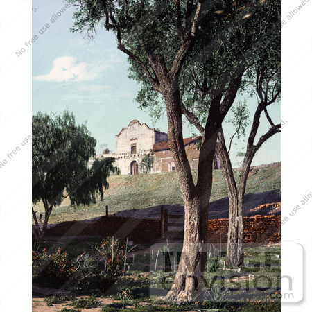 #41007 Stock Photo Of Trees And A Garden Near The Mission San Diego De Alcala In California by JVPD
