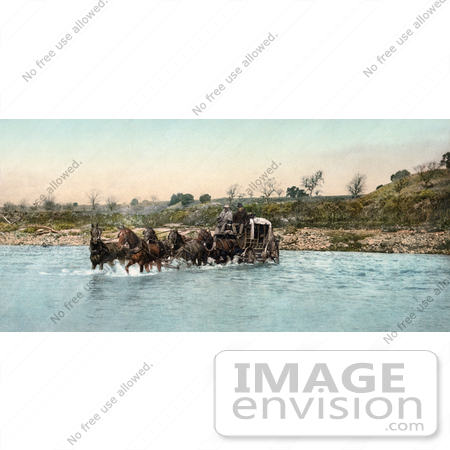 #41039 Stock Photo Of A Team Of Horses Pulling A Carriage While Crossing The Santa Ynez River In California by JVPD