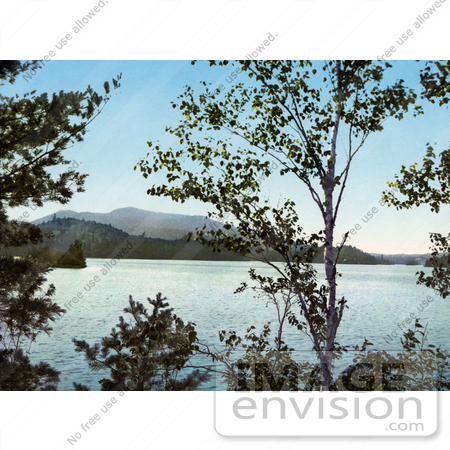 #41088 Stock Photo Of A View Through Trees On Upper St. Regis Lake, Adirondack Mountains, New York by JVPD