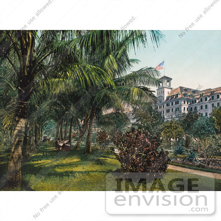 #41117 Stock Photo Of Guests Sitting Under Palms In The Gardens Of The The Royal Poinciana Hotel In Palm Beach, Florida by JVPD