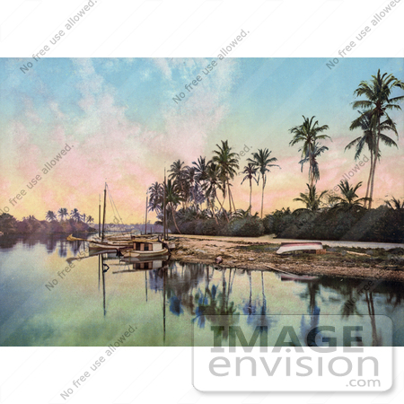 #41133 Stock Photo Of Boats Lined On The Beach Near Palm Trees On The Miami River In Florida by JVPD