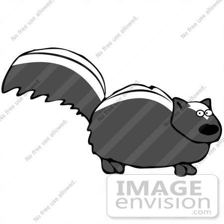 #41187 Clip Art Graphic of a Smelly Skunk Nervously Looking At The Viewer by DJArt