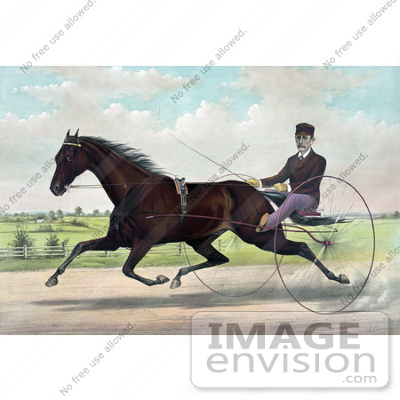 #41320 Stock Illustration of a Horse, Champion Pacer Johnston, By Bashaw Golddust, Raced By Peter V. Johnston by JVPD