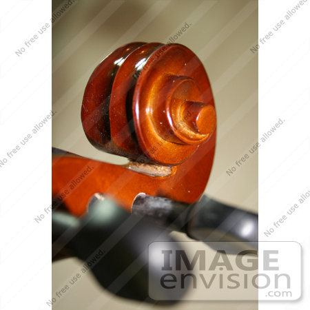 #415 Photo of the Scroll of a Viola by Jamie Voetsch